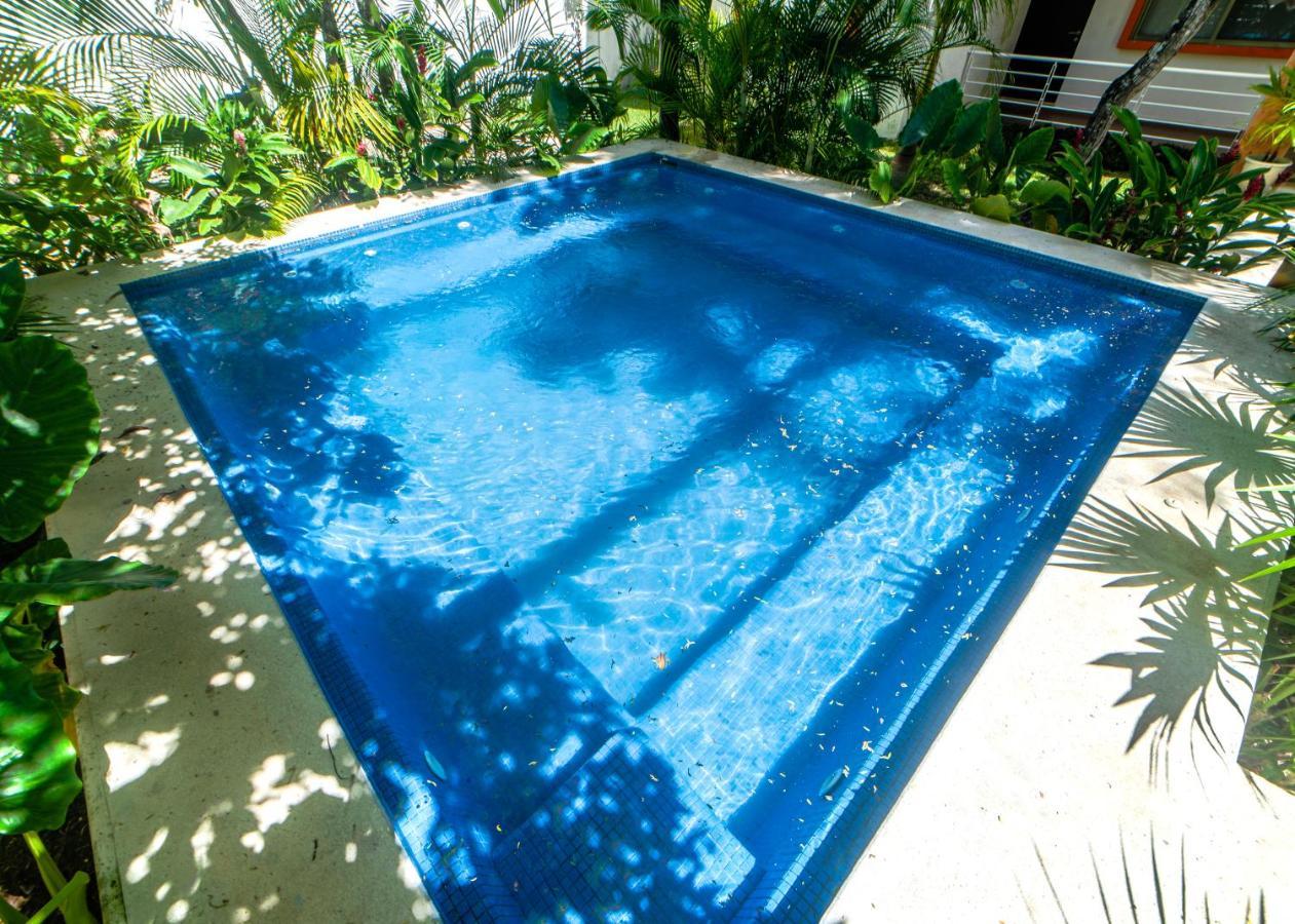Cancun Airport Condo Hotel Apartment With Pool And Security Eksteriør billede